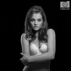 Rogue FlashBenders Softbox for photos on dark events