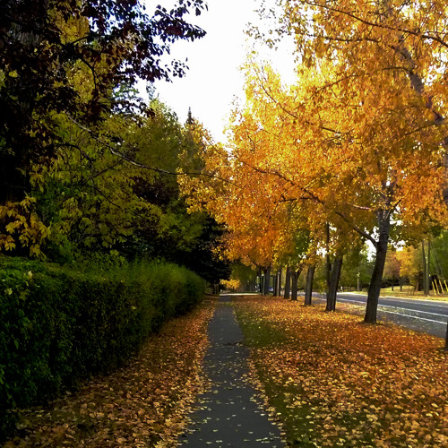 When Autumn Waltzes | وقتی پاییز والتس می‌رقصد