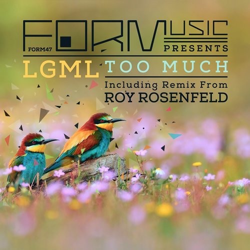 LGML - Too Much (Roy Rosenfeld's Rave Rework) [Form]