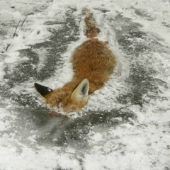 Yussuf Jerusalem - With You in Mind