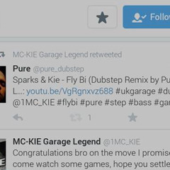Sparks and Kie - Fly Bi (Dubstep Remix by Pure) - FREE DOWNLOAD