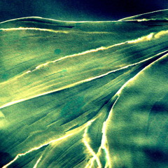 Pilgrim, Enya, My Version