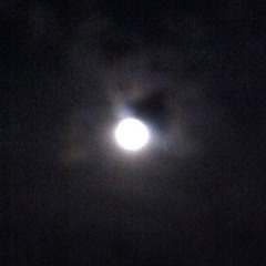 Quiet Body / Quiet Mind