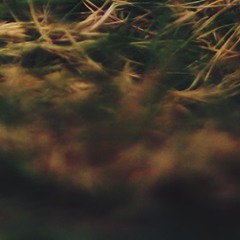IsolatedMixes Selection