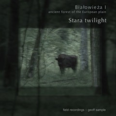 'Bialowieza I' by Geoff Sample - Album Sample