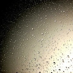 Météo Flora #8 15.November 2014