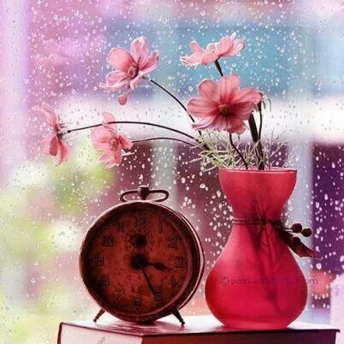 سورة الحجر  at (تلاوة هادئة)