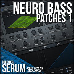 Grainy Notch Reese (Original Patch + Resampled Version