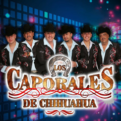 Los  Caporales De Chihuahua Cumbiesitas Mix(DjBravo)