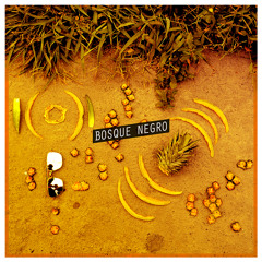 BOSQUE NEGRO PRESENTA: "Official Tropical Teaser"(LacandonicFX)_LiveSessionsFromLaSelva_ Não é