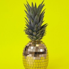 disco pineapple > disco shark