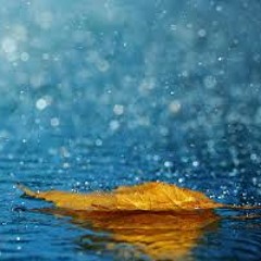 Unseen Reality - Summer Rain (preview)