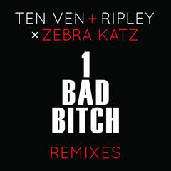 Ten Ven & Ripley Vs. Zebra Katz - 1 Bad Bitch (Cause & Affect Remix)
