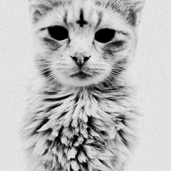 Screamo/Melodic/Hardcore