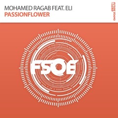 Mohamed Ragab Feat. Eli - Passionflower