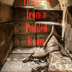 Thoughts From A Padded Room (4x4)