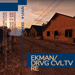 NYH14 A: Ekman - The Trespasser