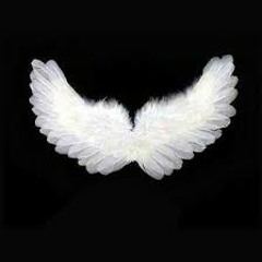 Birdy - Wings (Cover)