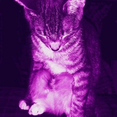 XavierWulf We DontBelieve You-Chopped n Screwed