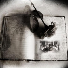 تراهننى ؟!  _ سمر بدار