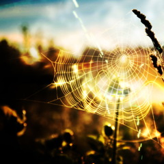 NO MAN'S LAND - November 6 - Radio Mix 2014