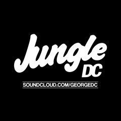 DC - Jungle/DnB Mix - Recording from Rumble in the Jungle 2 at Lakota 10/10/14
