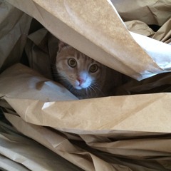 I Can Feel It All Around