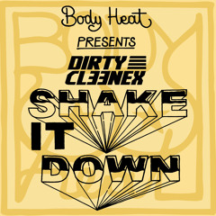 Dirty Cleenex - Shake It Down