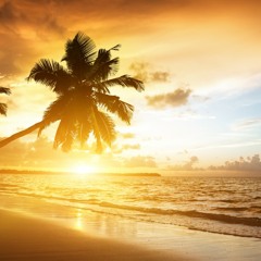 Tobi Grow - The Beach