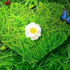 James - Ishwar Aachhe (music.com.bd)