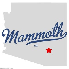 Mammoth, AZ - Circle K