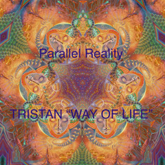 Tristan - Parallel Reality