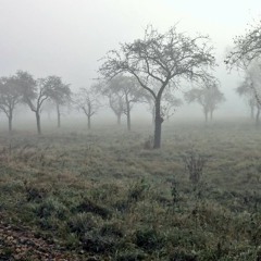 Herbstlied (live) - Shakti w/ ~JJL~