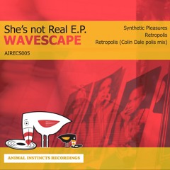 AIRECS005 : Wavescape - Retropolis (Colin Dale Polis Mix)