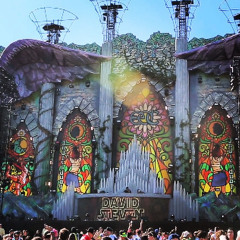 David Steven "Mic Check" Mix EDC Orlando 2014