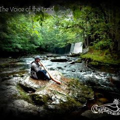 Cephalodidge-Blue Moon