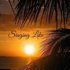 Leak Leisure - Singing Like