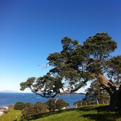 Late Nite Long Legs (afternoon mix)