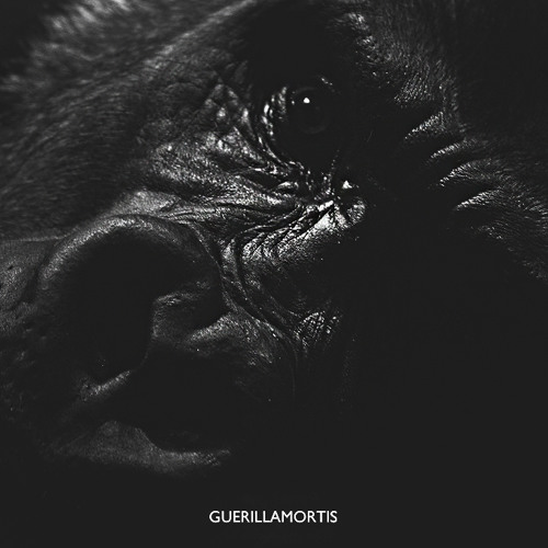 ELMNT - Guerillamortis [prod. Ethics Gallardo]