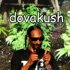 dovakush
