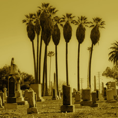 Bring it down with Satan - Ty Segall -  Die Tonight