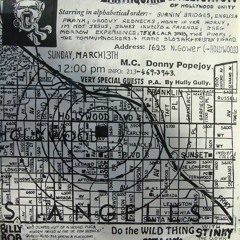 Lost n Found Live by Burnin' Bridges @ The Gower Devastation Party