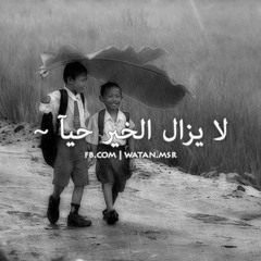 لا يزال الخير حيآ