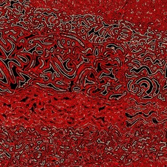 Meetings at the Border 2 - CIAN and C.T.U