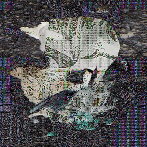 Known for it (Freak Grips)