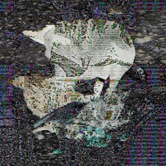 Death Rips