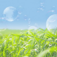 Fly A Letter To The Wind - July