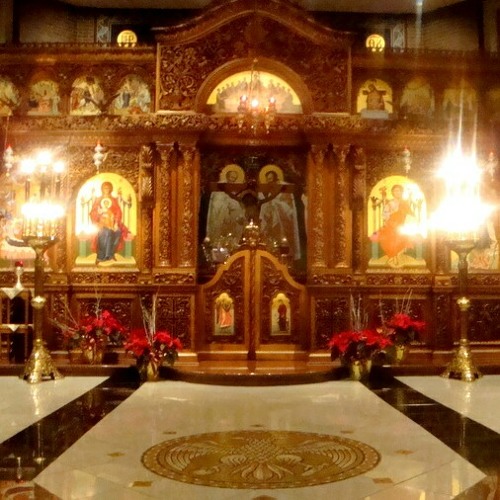 Apetjeek Evol (Partial) at St Mary
