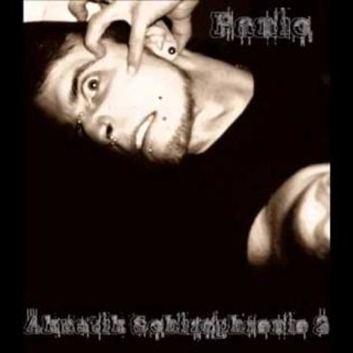 akustikterror der eu-faschisten gegen michael wimmersberger