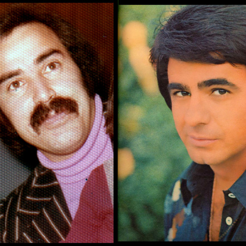 عارف _ پرنده مهاجر